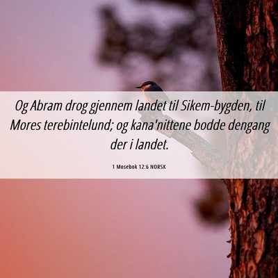 Picture 06 - 1 Mosebok 12:6 NORSK - Og Abram drog gjennem landet til Sikem-bygden, - Bible Verse Picture