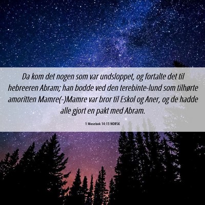 Picture 06 - 1 Mosebok 14:13 NORSK - Da kom det nogen som var undsloppet, og fortalte - Bible Verse Picture