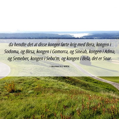 Picture 06 - 1 Mosebok 14:2 NORSK - da hendte det at disse konger førte krig med - Bible Verse Picture
