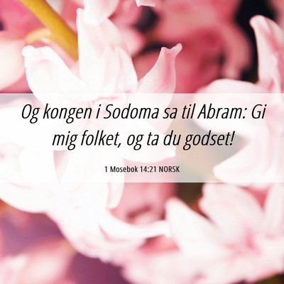 Picture 06 - 1 Mosebok 14:21 NORSK - Og kongen i Sodoma sa til Abram: Gi mig folket, - Bible Verse Picture