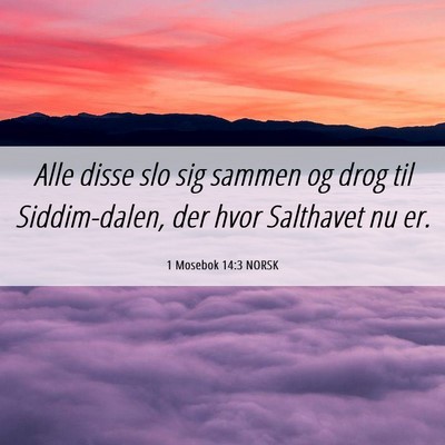 Picture 06 - 1 Mosebok 14:3 NORSK - Alle disse slo sig sammen og drog til - Bible Verse Picture