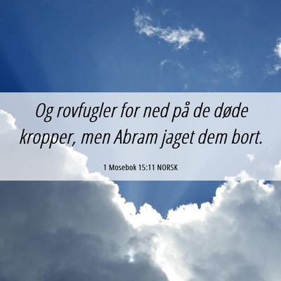 Picture 06 - 1 Mosebok 15:11 NORSK - Og rovfugler for ned på de døde kropper, men - Bible Verse Picture