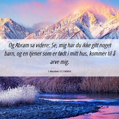 Picture 06 - 1 Mosebok 15:3 NORSK - Og Abram sa videre: Se, mig har du ikke gitt - Bible Verse Picture