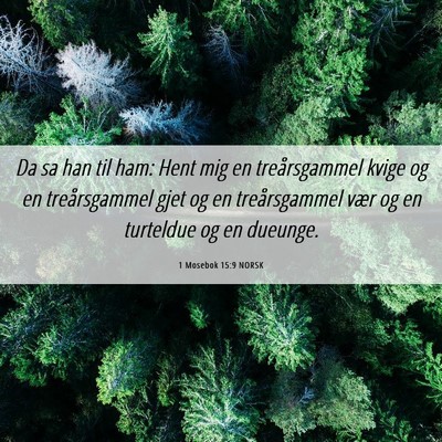 Picture 06 - 1 Mosebok 15:9 NORSK - Da sa han til ham: Hent mig en treårsgammel - Bible Verse Picture
