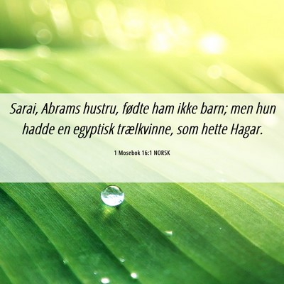 Picture 06 - 1 Mosebok 16:1 NORSK - Sarai, Abrams hustru, fødte ham ikke barn; men - Bible Verse Picture