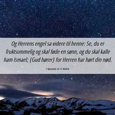 Picture 06 - 1 Mosebok 16:11 NORSK - Og Herrens engel sa videre til henne: Se, du er - Bible Verse Picture
