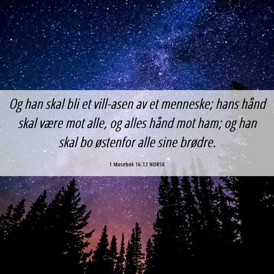 Picture 06 - 1 Mosebok 16:12 NORSK - Og han skal bli et vill-asen av et menneske; hans - Bible Verse Picture