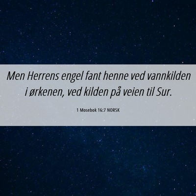 Picture 06 - 1 Mosebok 16:7 NORSK - Men Herrens engel fant henne ved vannkilden i - Bible Verse Picture