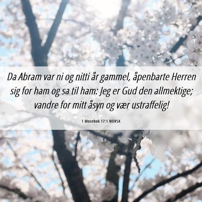 Picture 06 - 1 Mosebok 17:1 NORSK - Da Abram var ni og nitti år gammel, åpenbarte - Bible Verse Picture