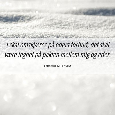 Picture 06 - 1 Mosebok 17:11 NORSK - I skal omskjæres på eders forhud; det skal - Bible Verse Picture