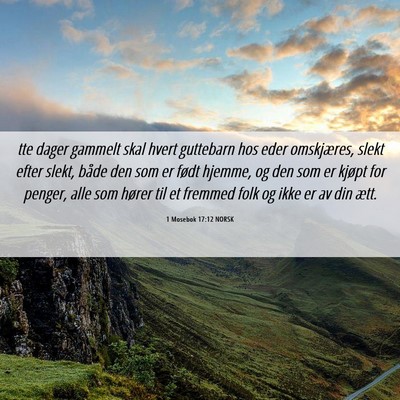 Picture 06 - 1 Mosebok 17:12 NORSK - tte dager gammelt skal hvert guttebarn hos eder - Bible Verse Picture
