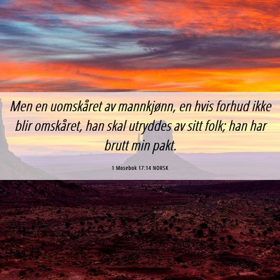 Picture 06 - 1 Mosebok 17:14 NORSK - Men en uomskåret av mannkjønn, en hvis forhud - Bible Verse Picture