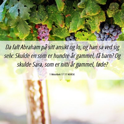 Picture 06 - 1 Mosebok 17:17 NORSK - Da falt Abraham på sitt ansikt og lo, og han sa - Bible Verse Picture