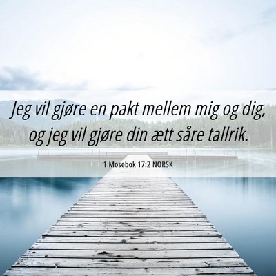 Picture 06 - 1 Mosebok 17:2 NORSK - Jeg vil gjøre en pakt mellem mig og dig, og jeg - Bible Verse Picture