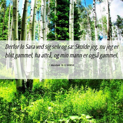 Picture 06 - 1 Mosebok 18:12 NORSK - Derfor lo Sara ved sig selv og sa: Skulde jeg, nu - Bible Verse Picture