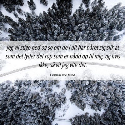 Picture 06 - 1 Mosebok 18:21 NORSK - Jeg vil stige ned og se om de i alt har båret - Bible Verse Picture