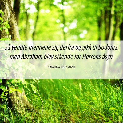 Picture 06 - 1 Mosebok 18:22 NORSK - Så vendte mennene sig derfra og gikk til Sodoma, - Bible Verse Picture