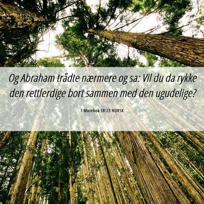 Picture 06 - 1 Mosebok 18:23 NORSK - Og Abraham trådte nærmere og sa: Vil du da - Bible Verse Picture