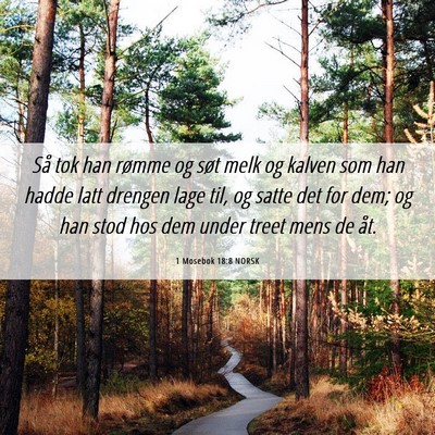 Picture 06 - 1 Mosebok 18:8 NORSK - Så tok han rømme og søt melk og kalven som han - Bible Verse Picture
