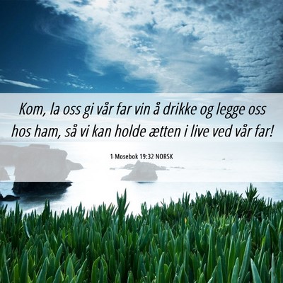 Picture 06 - 1 Mosebok 19:32 NORSK - Kom, la oss gi vår far vin å drikke og legge - Bible Verse Picture