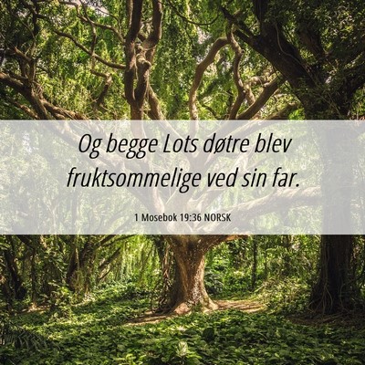 Picture 06 - 1 Mosebok 19:36 NORSK - Og begge Lots døtre blev fruktsommelige ved sin - Bible Verse Picture