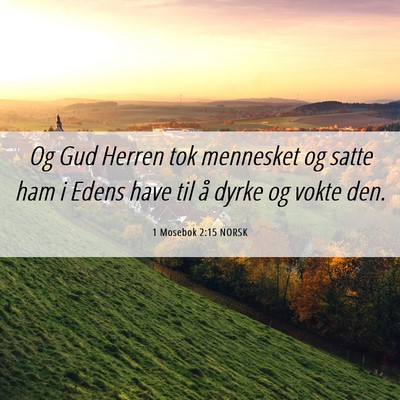 Picture 06 - 1 Mosebok 2:15 NORSK - Og Gud Herren tok mennesket og satte ham i Edens - Bible Verse Picture