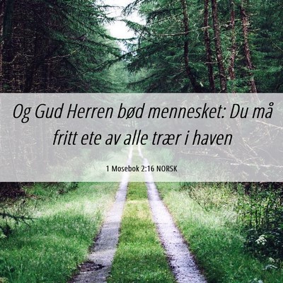 Picture 06 - 1 Mosebok 2:16 NORSK - Og Gud Herren bød mennesket: Du må fritt ete av - Bible Verse Picture