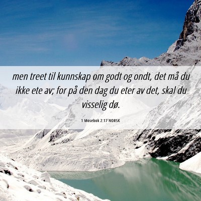 Picture 06 - 1 Mosebok 2:17 NORSK - men treet til kunnskap om godt og ondt, det må - Bible Verse Picture