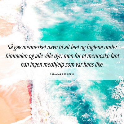 Picture 06 - 1 Mosebok 2:20 NORSK - Så gav mennesket navn til alt feet og fuglene - Bible Verse Picture