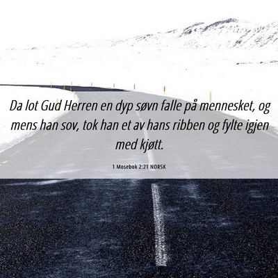 Picture 06 - 1 Mosebok 2:21 NORSK - Da lot Gud Herren en dyp søvn falle på - Bible Verse Picture