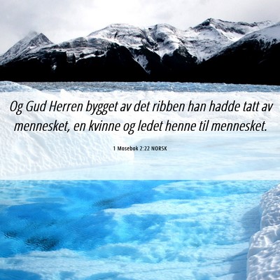 Picture 06 - 1 Mosebok 2:22 NORSK - Og Gud Herren bygget av det ribben han hadde tatt - Bible Verse Picture