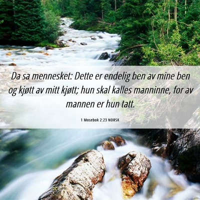 Picture 06 - 1 Mosebok 2:23 NORSK - Da sa mennesket: Dette er endelig ben av mine ben - Bible Verse Picture