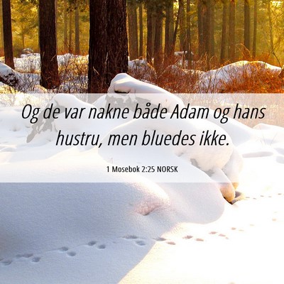 Picture 06 - 1 Mosebok 2:25 NORSK - Og de var nakne både Adam og hans hustru, men - Bible Verse Picture