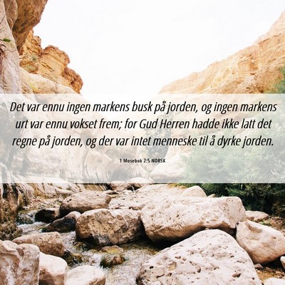 Picture 06 - 1 Mosebok 2:5 NORSK - Det var ennu ingen markens busk på jorden, og - Bible Verse Picture