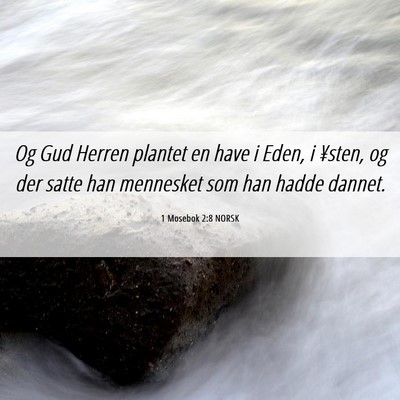 Picture 06 - 1 Mosebok 2:8 NORSK - Og Gud Herren plantet en have i Eden, i ¥sten, - Bible Verse Picture