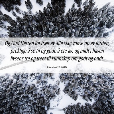 Picture 06 - 1 Mosebok 2:9 NORSK - Og Gud Herren lot trær av alle slag vokse op av - Bible Verse Picture