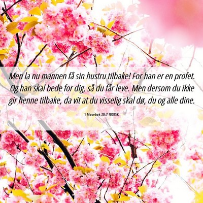 Picture 06 - 1 Mosebok 20:7 NORSK - Men la nu mannen få sin hustru tilbake! For han - Bible Verse Picture