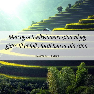 Picture 06 - 1 Mosebok 21:13 NORSK - Men også trælkvinnens sønn vil jeg gjøre til - Bible Verse Picture