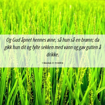 Picture 06 - 1 Mosebok 21:19 NORSK - Og Gud åpnet hennes øine, så hun så en - Bible Verse Picture