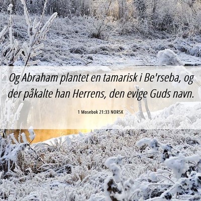 Picture 06 - 1 Mosebok 21:33 NORSK - Og Abraham plantet en tamarisk i Be'rseba, og der - Bible Verse Picture