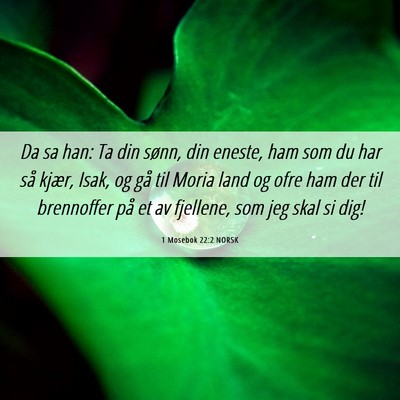 Picture 06 - 1 Mosebok 22:2 NORSK - Da sa han: Ta din sønn, din eneste, ham som du - Bible Verse Picture