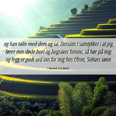Picture 06 - 1 Mosebok 23:8 NORSK - og han talte med dem og sa: Dersom I samtykker i - Bible Verse Picture