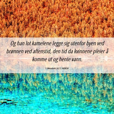 Picture 06 - 1 Mosebok 24:11 NORSK - Og han lot kamelene legge sig utenfor byen ved - Bible Verse Picture
