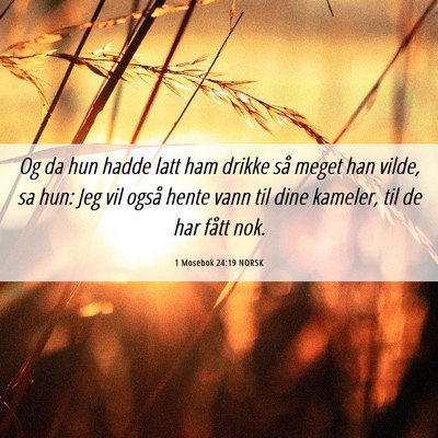 Picture 06 - 1 Mosebok 24:19 NORSK - Og da hun hadde latt ham drikke så meget han - Bible Verse Picture