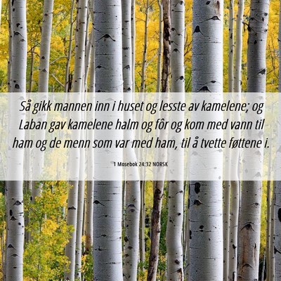 Picture 06 - 1 Mosebok 24:32 NORSK - Så gikk mannen inn i huset og lesste av - Bible Verse Picture