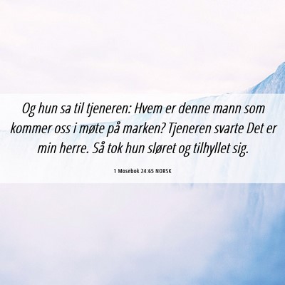 Picture 06 - 1 Mosebok 24:65 NORSK - Og hun sa til tjeneren: Hvem er denne mann som - Bible Verse Picture
