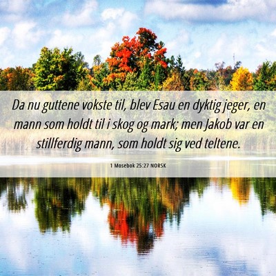 Picture 06 - 1 Mosebok 25:27 NORSK - Da nu guttene vokste til, blev Esau en dyktig - Bible Verse Picture