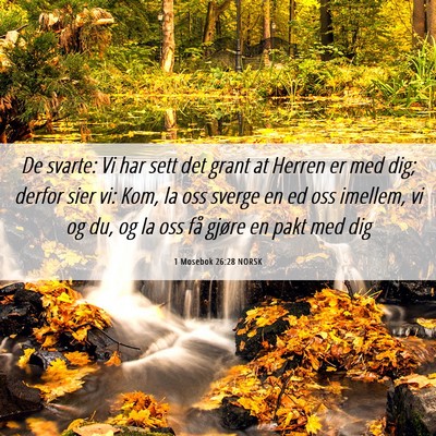 Picture 06 - 1 Mosebok 26:28 NORSK - De svarte: Vi har sett det grant at Herren er med - Bible Verse Picture