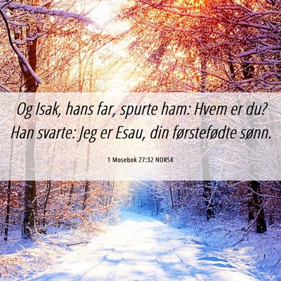 Picture 06 - 1 Mosebok 27:32 NORSK - Og Isak, hans far, spurte ham: Hvem er du? Han - Bible Verse Picture