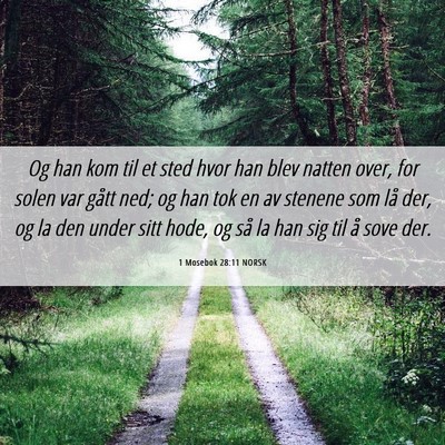 Picture 06 - 1 Mosebok 28:11 NORSK - Og han kom til et sted hvor han blev natten over, - Bible Verse Picture